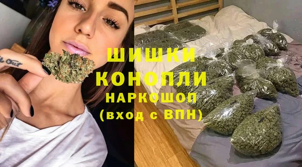 гидра Зеленодольск