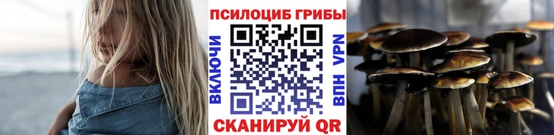 Галлюциногенные грибы Psilocybe  Купить  Искитим 
